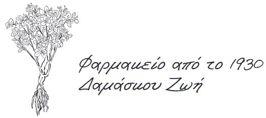 κατασκευή ισρτοσελίδας - pharmacydamaskou.gr